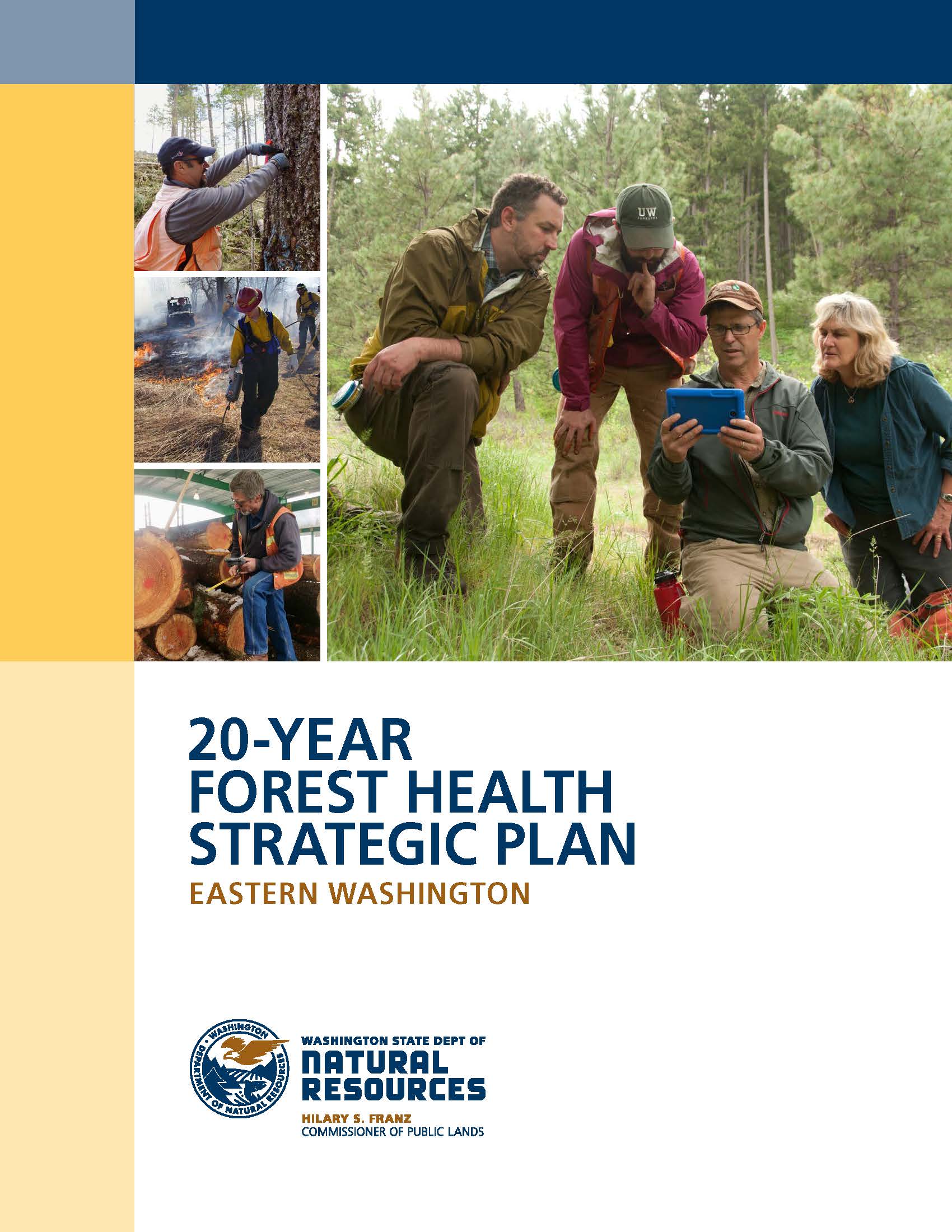 Image of DNR's 20-Year Forest Health Plan: Eastern Washington (2017)