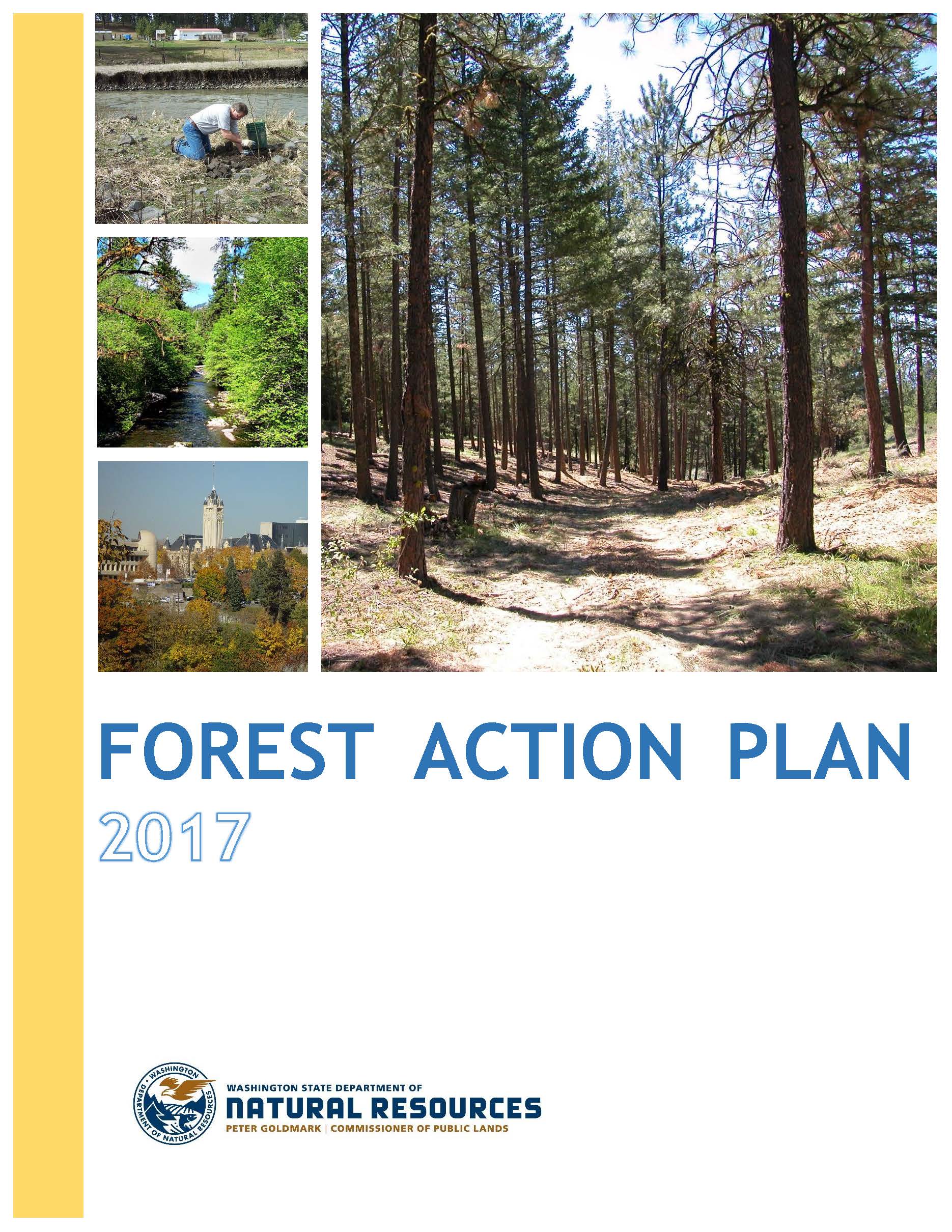 Image of Forest Action Plan (2017)