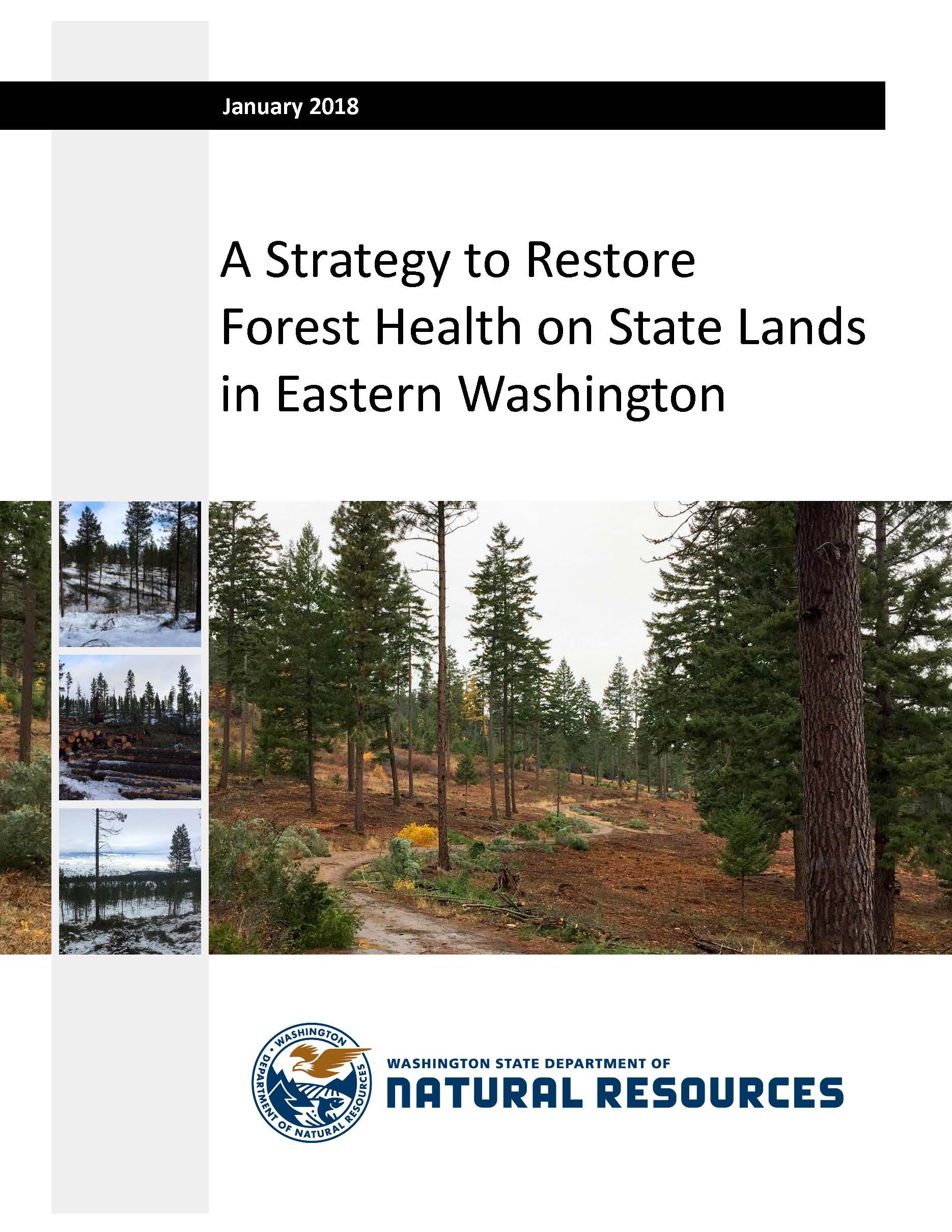 Image of DNR's Strategy to Restore Forest Health on State Lands in Eastern Washington (2017)