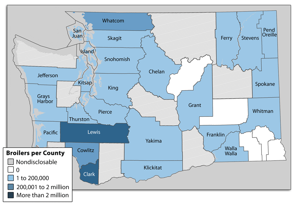 Washington State map uses USDA data to show broiler production  by county in 5 categories: Nondisclosable (gray); none (white); 1 to 200,000 (light blue); 200,001 = 200,000 - 2 million (medium blue); 2 million+ (dark blue).  Lewis and Clark counties have the most broiler production.
