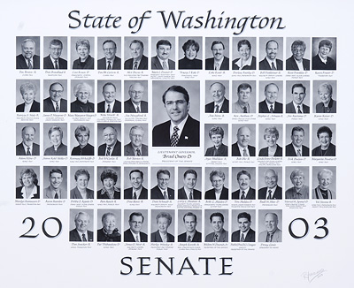 Senate class photo for the class of 2003