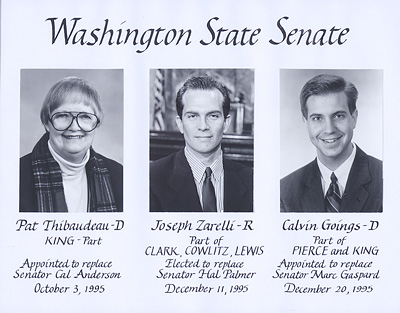 Senate class photo for the class of 1995a